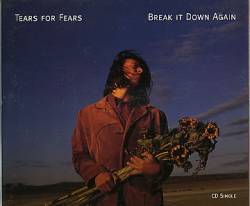 Tears For Fears : Break it Down Again